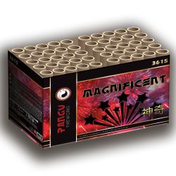 Magnificent 50 shots