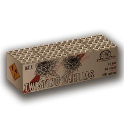 Twisting Dahlias 80 shots
