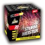 Sturm Meister 20 schuss  1